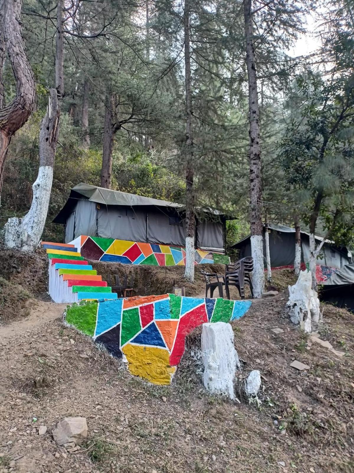 Jungle Stays Chail Εξωτερικό φωτογραφία