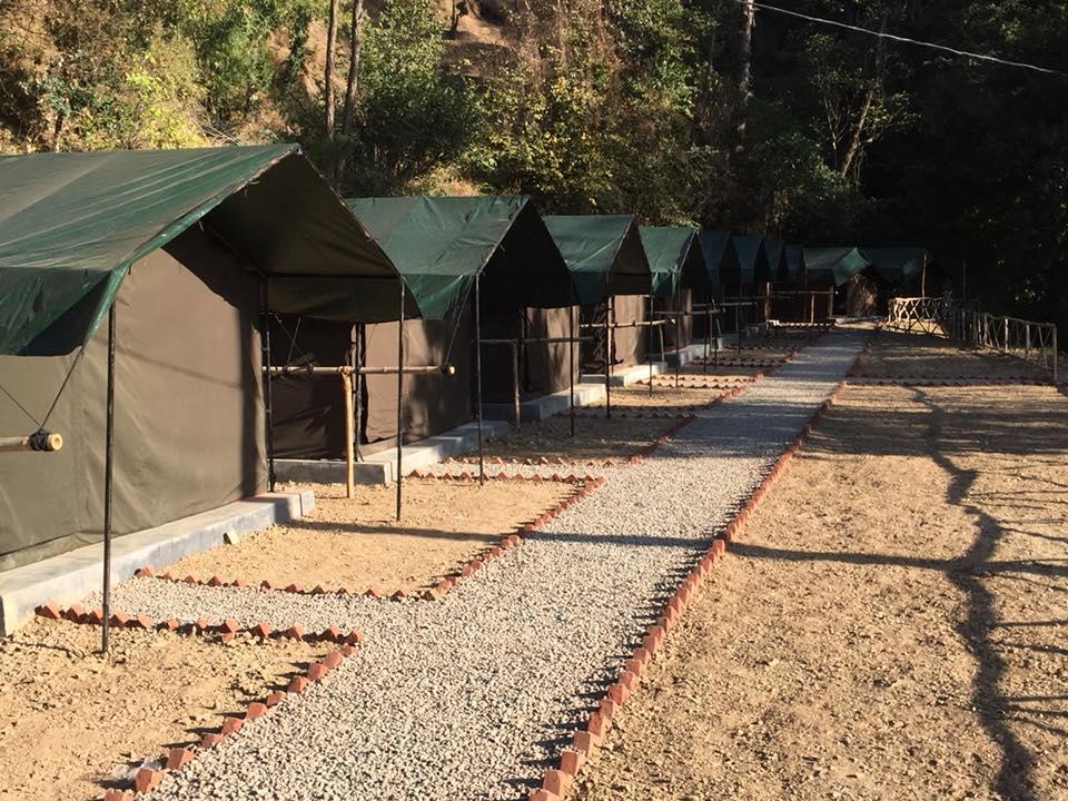 Jungle Stays Chail Εξωτερικό φωτογραφία